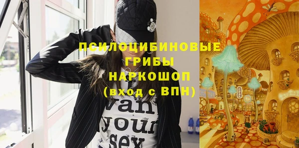 соль ск Бугульма