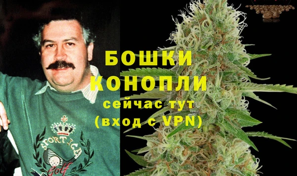 шишки Волосово